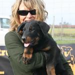 Dog Dynamics Dog Training - Pleasanton - photo 2