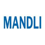 MANDLI Technologies - photo 1