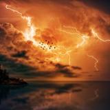 Lightning Damage Solution Provider - Professional Services in Boulder