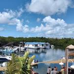 Casual Monday Charters in Key West, Florida specializes in Sandbar Hopping, Snorkeling, and Sunset Charters year round. If its your first time on the water or you're a seasoned boater we are here to ensure your comfort and safety on the water. - photo 5