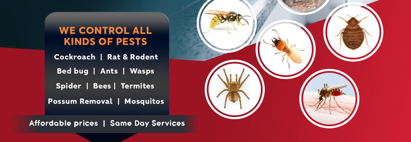 Recon Pest Control Melbourne cover photo