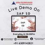 Avina Technologies - photo 5