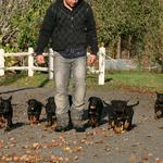 Dog Dynamics Dog Training - Walnut Creek - photo 3