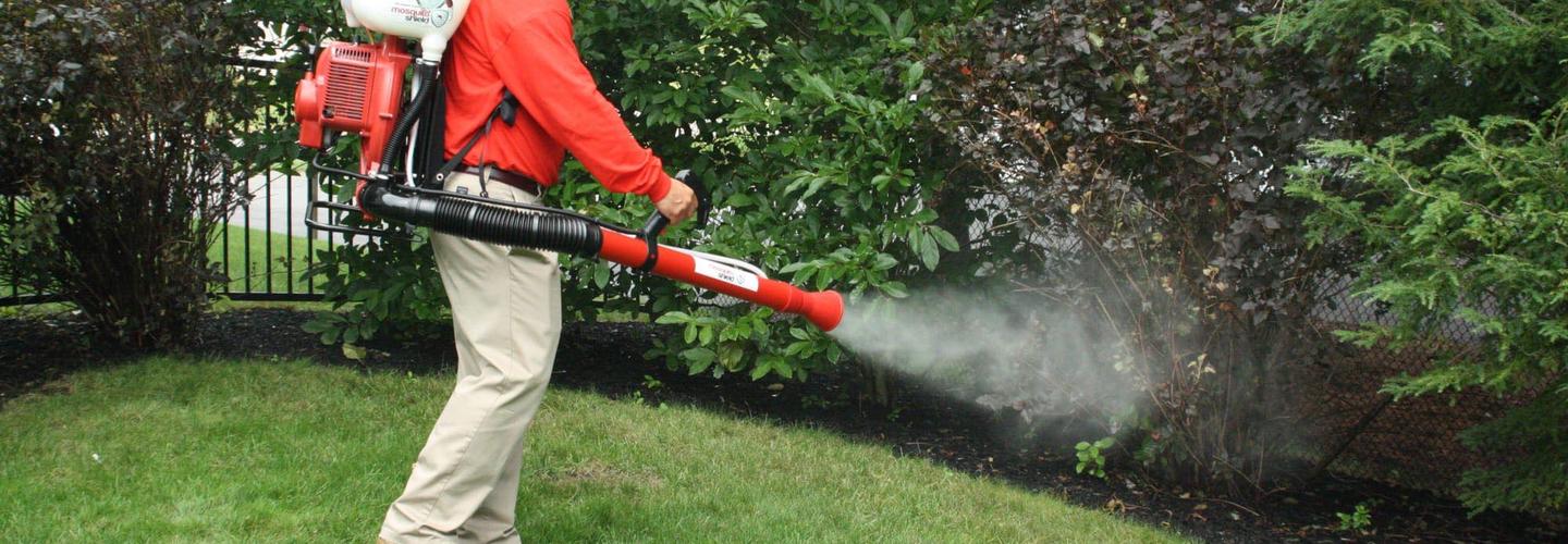 Mosquito Shield of Western Massachusetts cover photo