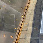 Gutter Minds - photo 3