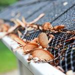 Gutter Minds - photo 4