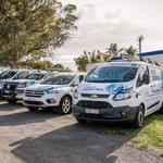 Southern Suburbs Pest Control - photo 1