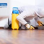 Southern Suburbs Pest Control - photo 2