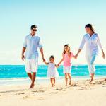 Southern Suburbs Pest Control - photo 7