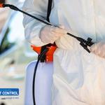 Southern Suburbs Pest Control - photo 8