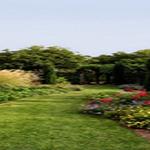 Broadway Landscape Materials - photo 2