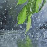 Alive IV and Wellness - photo 2