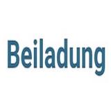 beiladung-in-mainz.de - Transportation & Shipping in Mainz
