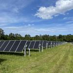 PV Worx - Solar Panel Cleaning and Maintenance - photo 3