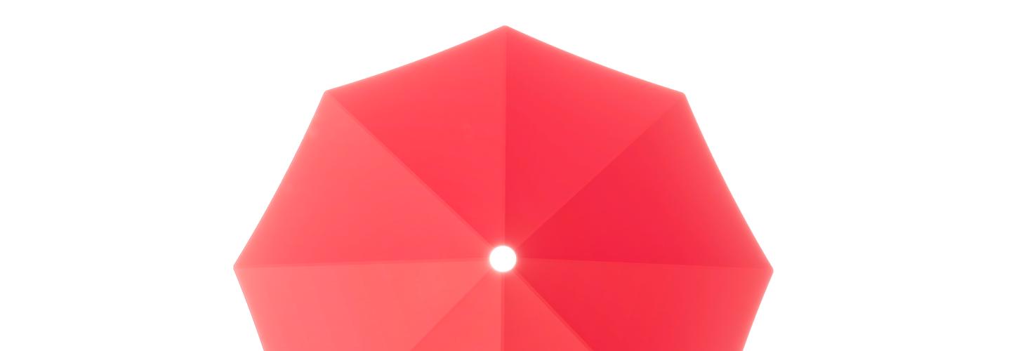 Swanz Umbrellas cover photo