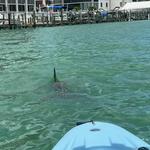 Mike's Coastal Expeditions,LLC, LLC - photo 1