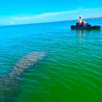 Mike's Coastal Expeditions,LLC, LLC - photo 6