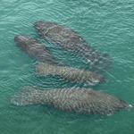 Mike's Coastal Expeditions,LLC, LLC - photo 7