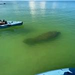 Mike's Coastal Expeditions,LLC, LLC - photo 8