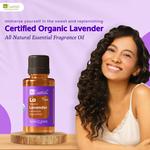 N8 Essentials - photo 1