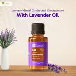 N8 Essentials - photo 2