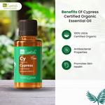 N8 Essentials - photo 3