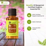 N8 Essentials - photo 4