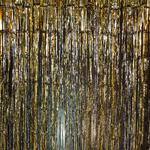 Irvine Photo Booth - photo 8