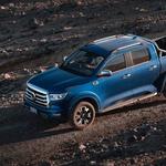 Ralph D’Silva GWM HAVAL - photo 1