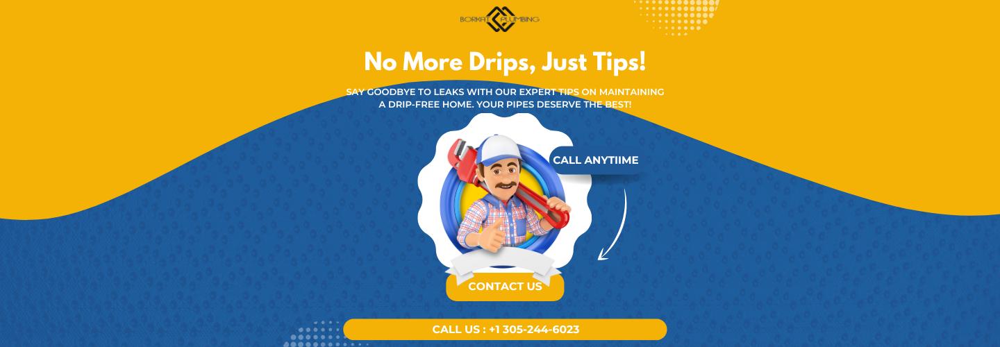 Borkat Plumbing Services, LLC cover photo