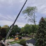 Kobs & Roberts Tree Service - photo 1