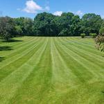 Kobs & Roberts Tree Service - photo 3