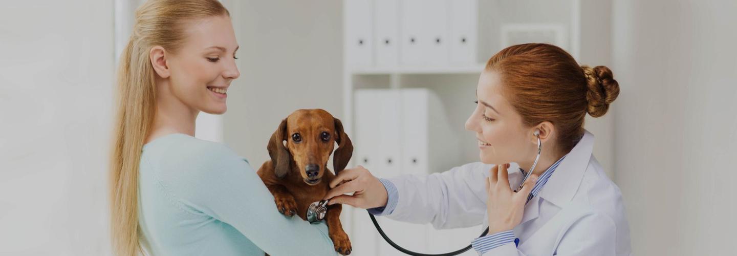 Trinity Pet Hospital cover photo