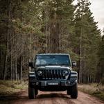 Willys Workshop - Oxley - photo 1