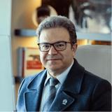 Farhad Moghadam Salimi - Business Consulting in Turkey