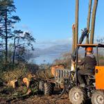 Max Reynolds Tree Services  - photo 2