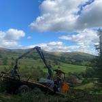 Max Reynolds Tree Services  - photo 6