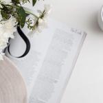 Let's Journey - photo 1