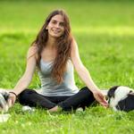 VayaDogs Dog Training - photo 2