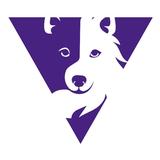 VayaDogs Dog Training - Personal Trainer in Arteixo