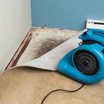 Swift WD Restorations Minneapolis - photo 4