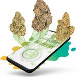 Top Shelf Delivery Shop - photo 6