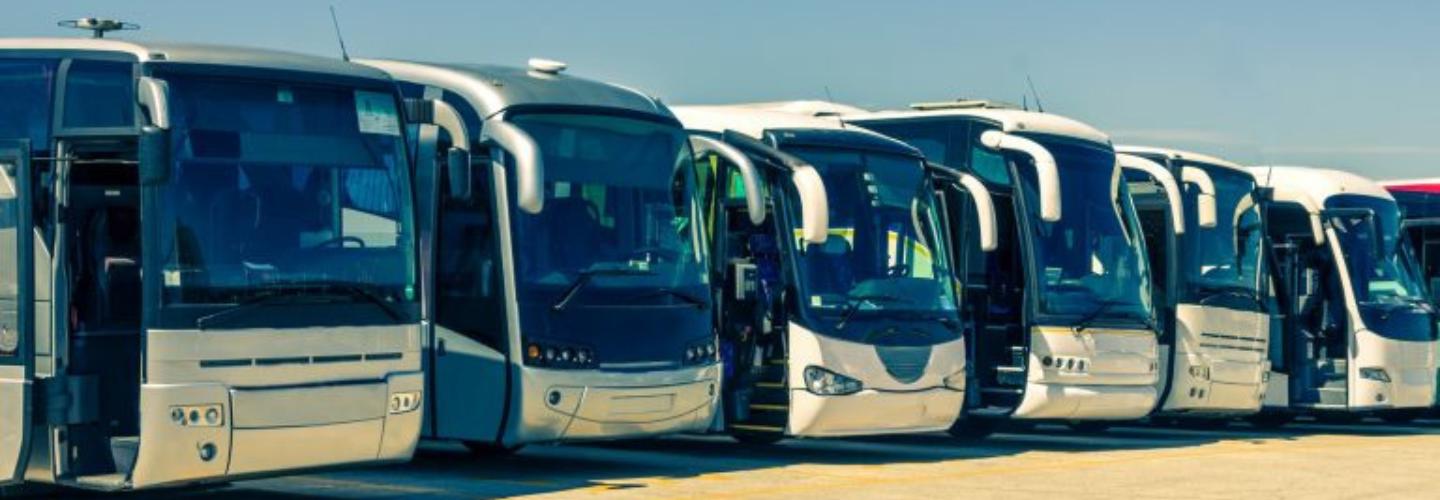 The Ultimate Guide to Getting Your LR Licence Sydney - Ellis Driving School cover photo