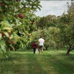 Orchard Funeral Services - photo 1