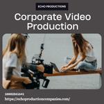 Echo Production Company - photo 1