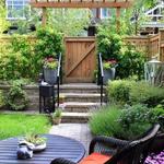 Jasp Audio And Video - photo 4