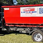 Little Bit Trashy - photo 1