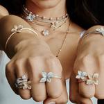 Augustina, Inc - photo 1