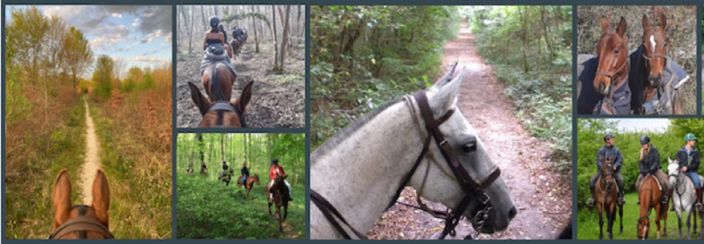 Balade Cheval Chantilly