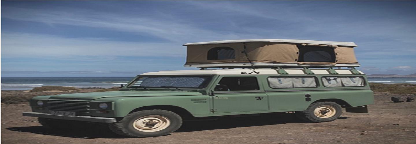 Turtles Van cover photo
